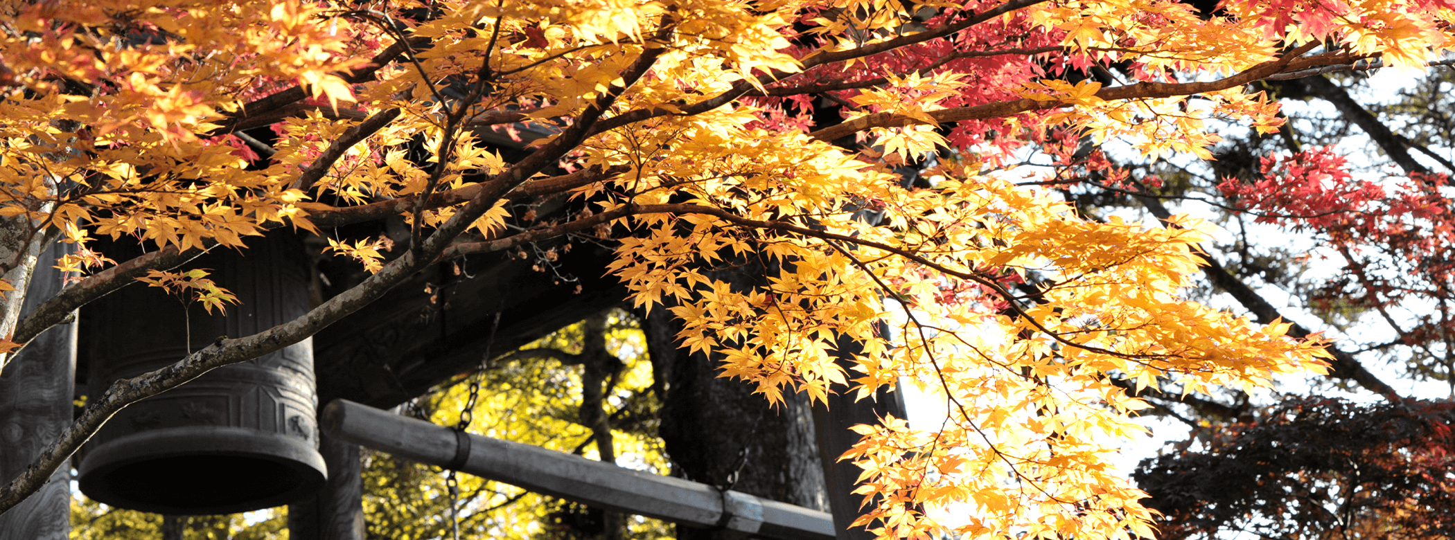 HIDA-TAKAYAMA (圖片)