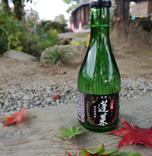 Sake Tasting in Takayama (photo)