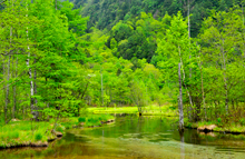 Nature of Kamikochi (photo)