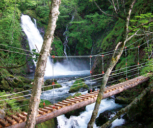 Mt. Norikura Goshikigahara Forest (photo)