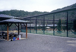 Squirrel Forest and Hida Mountain Wildflower Nature Garden (photo)