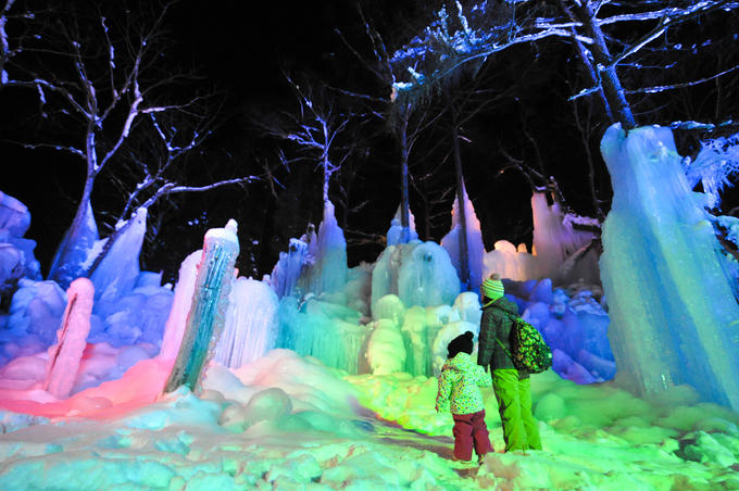 Illumination of Subzero Forest (photo)