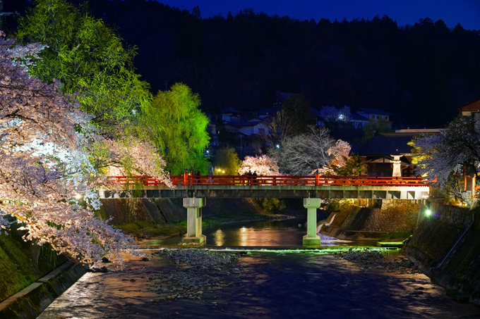 Nakabashi Bridge illuminated in spring (photo)