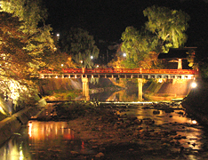 Summer illumination in Hida Takayama (photo)