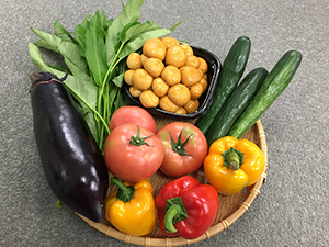 Photograph of highland vegetables