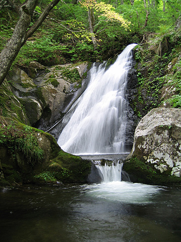 Parc naturel préfectoral de la cascade d'Utsue Shijuhattaki (photo)