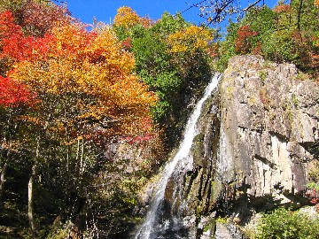 Cascade d'Okuradaki et parc forestier (photo)