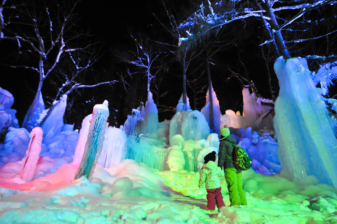 Forêt de glace Hyotenka no Mori illuminée (photo)