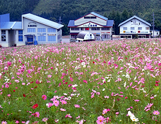 Ouverture du parc Cosmos (photo)