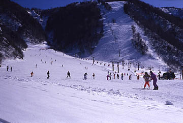平汤温泉滑雪场 (照片)