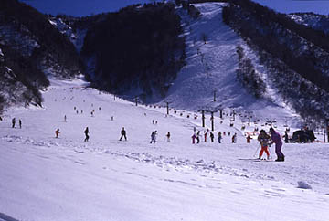 平湯溫泉滑雪場 (圖片)