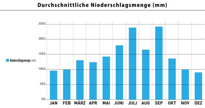 Durchschnittliche Niederschlagsmenge nach Monaten (Abbildungen)