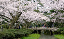 Jardin Kenrokuen (photo)