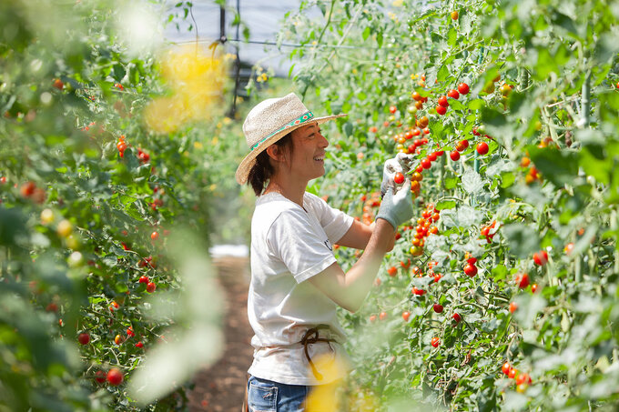 TERADA FARM / 寺田農場體驗(Photo)