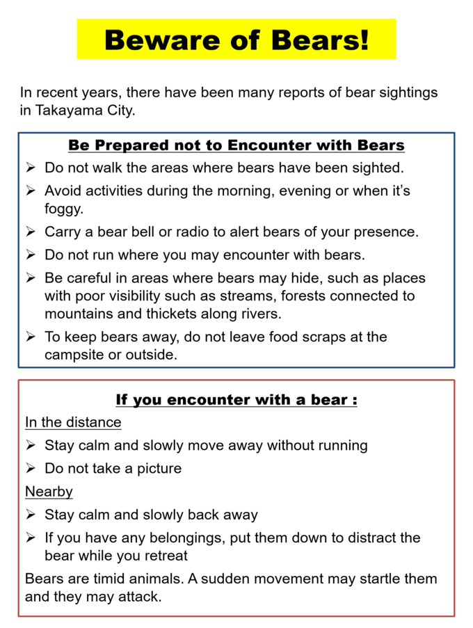 Beware of Bears Brochure